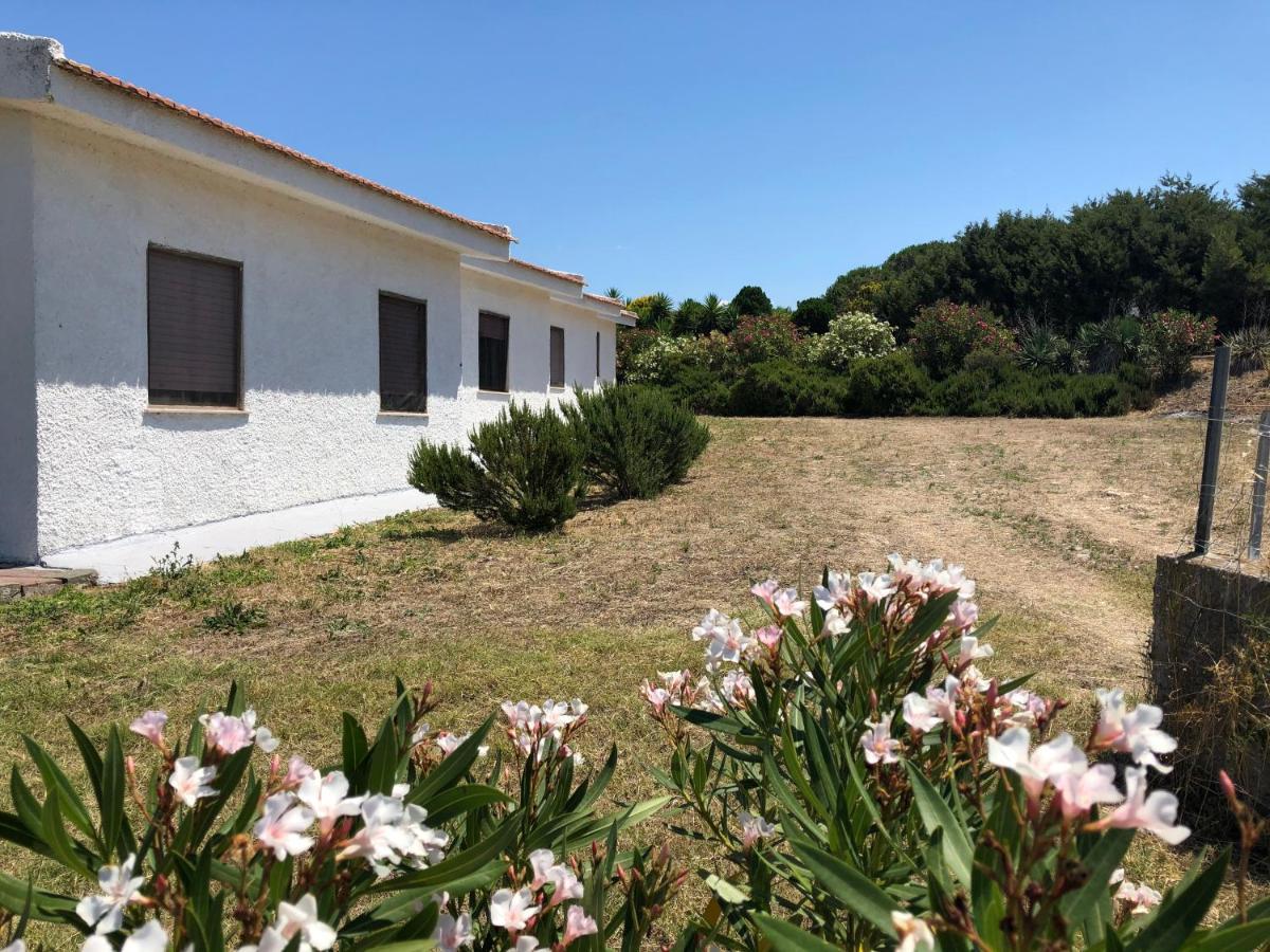 Villa Rosa Valledoria  Exterior foto